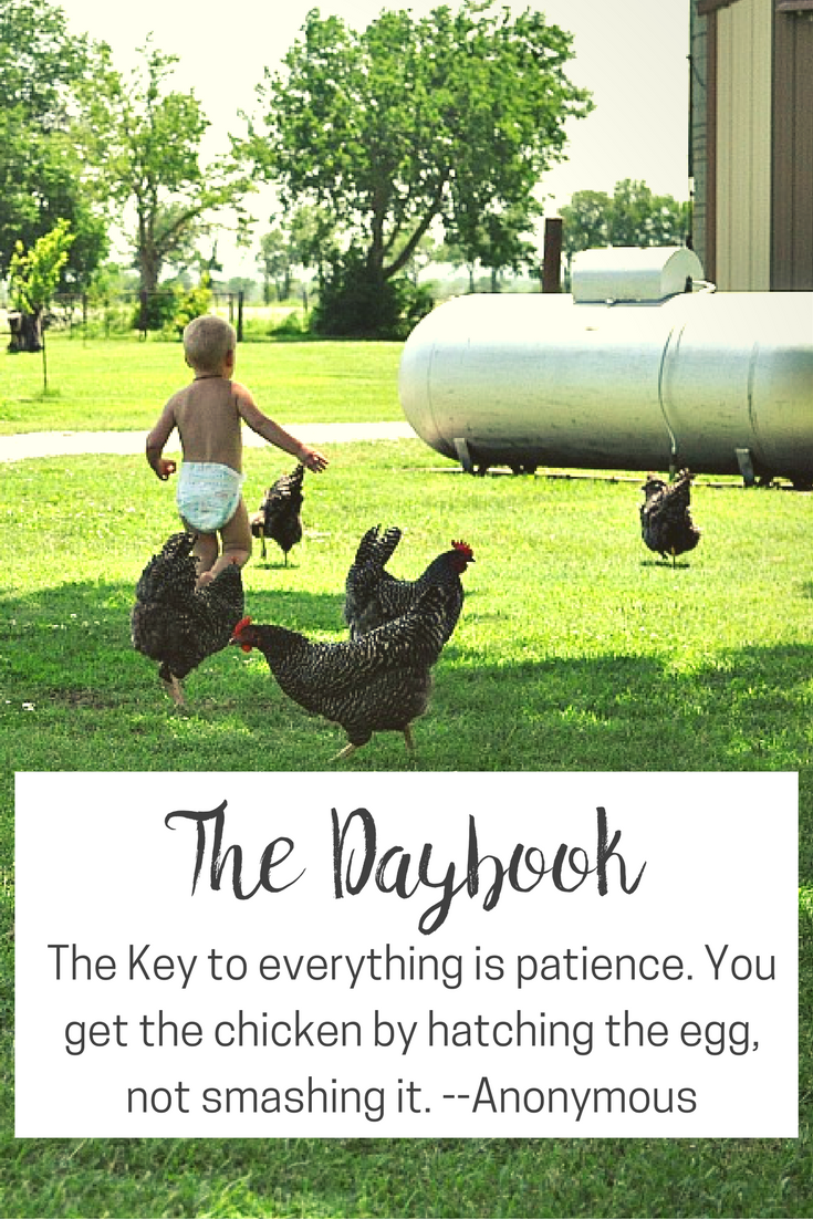 The Daybook at The Littlest Way
