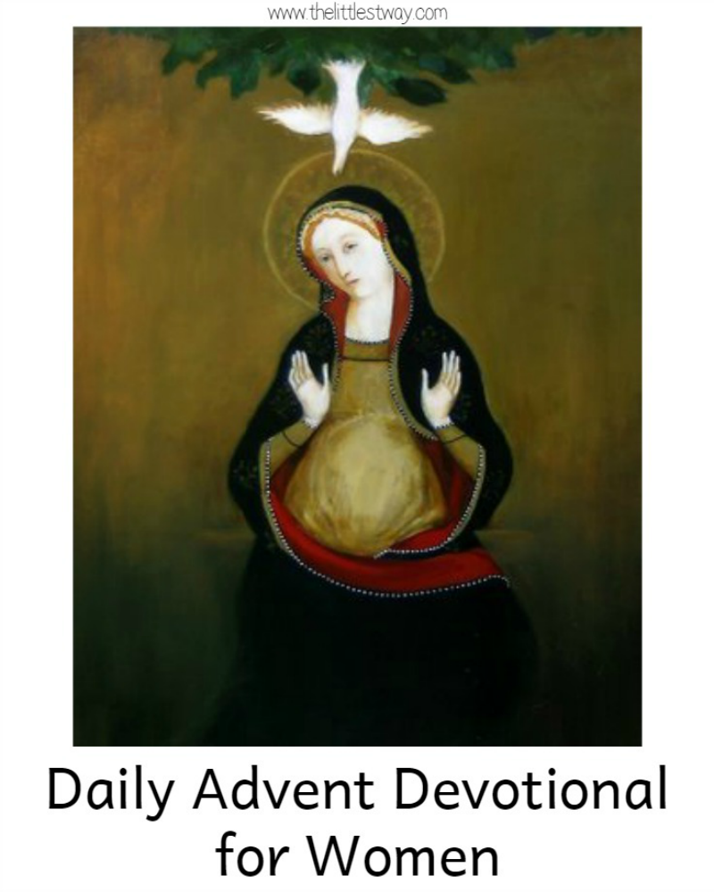 Daily Advent Devotional Cover