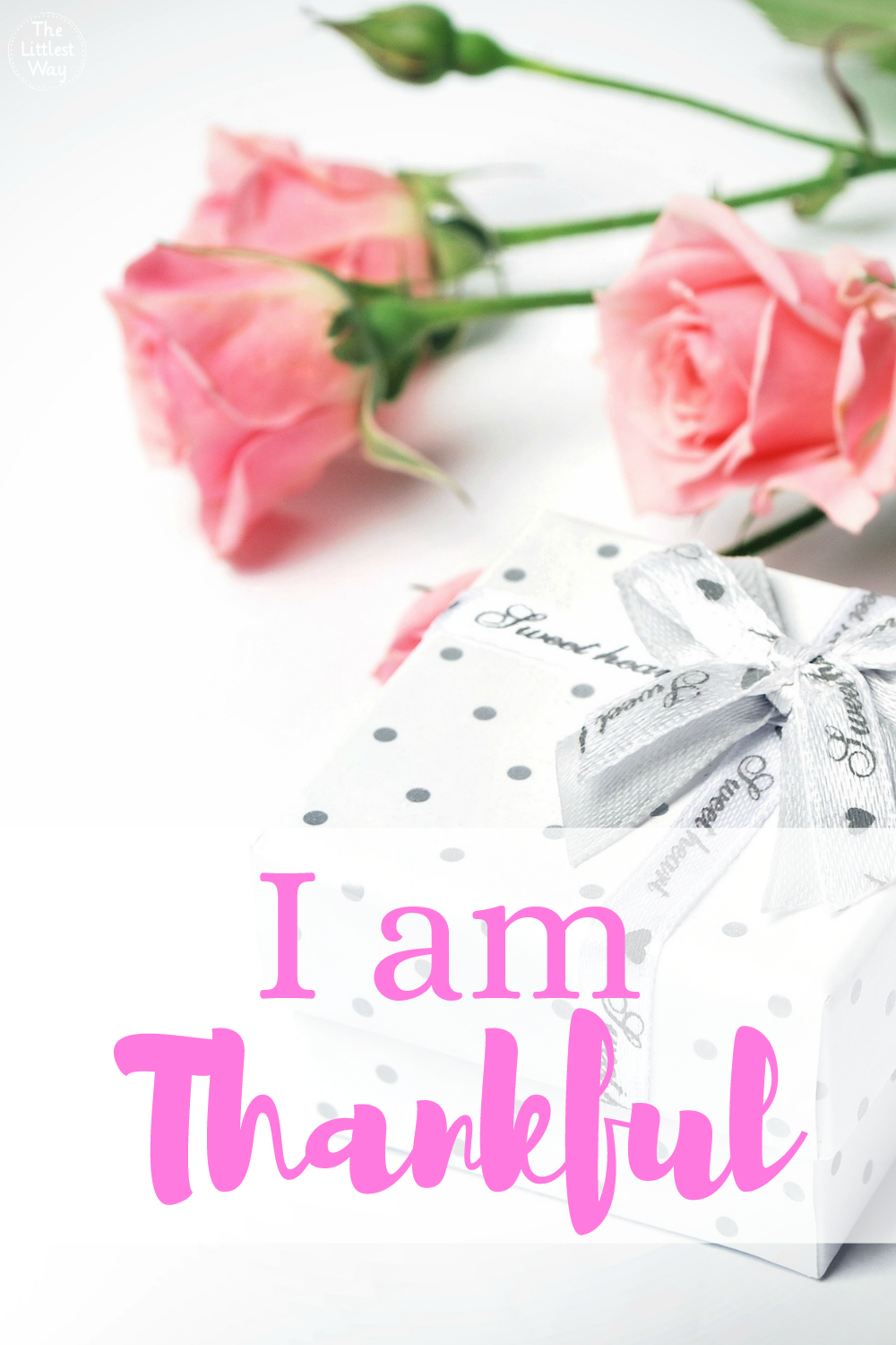 Daily Affirmations: I am thankful can be a life changing affirmation to change your thinking.