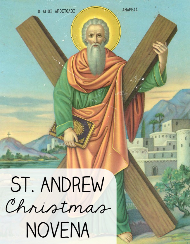 St Andrew Novena