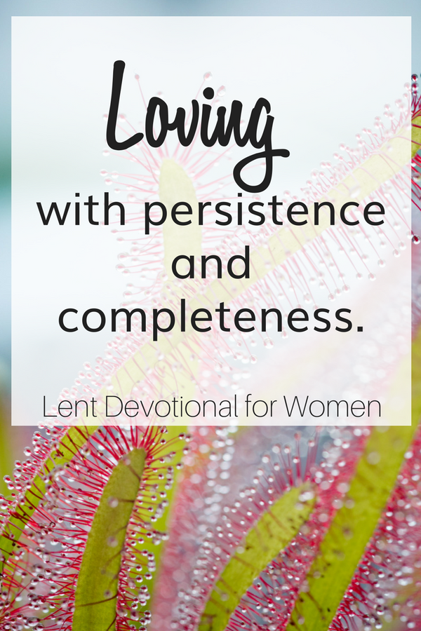 A bright colored plant to highlight the title of loving with persistence and completeness for the Lent Devotional for Women.