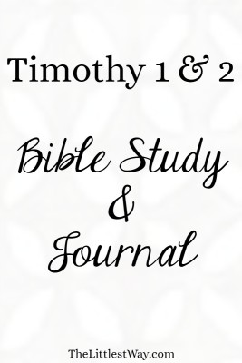 Bible Journaling and Verse Mapping