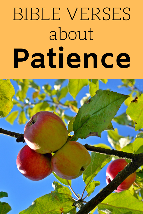 An image of a fruit tree reminds us Bible Verses About Patience asks us what kind of fruit we are bearing.
