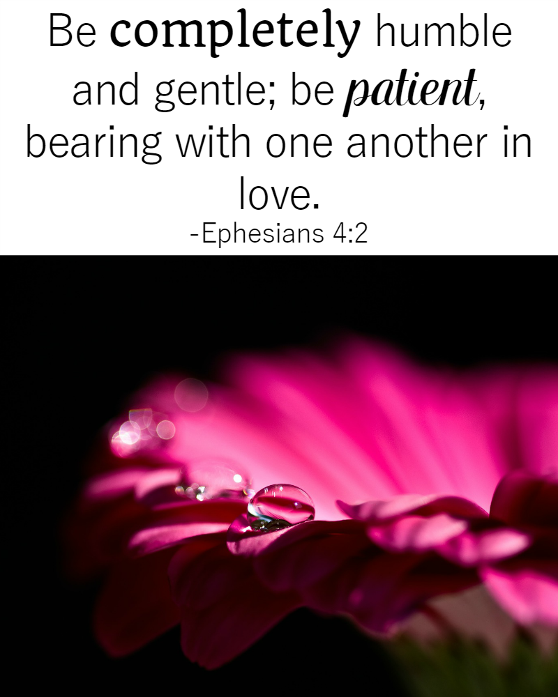 Bible Quotes About Patience: Ephesians 4:2