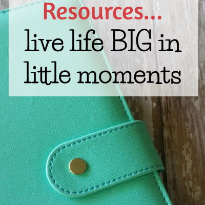 The Littlest Way Resources to products and stores I recommend to family and friends