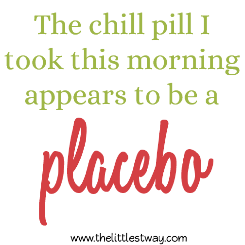 Daybook Chill Pill Placebo
