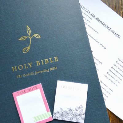 The  New (and Only) Catholic Journaling Bible