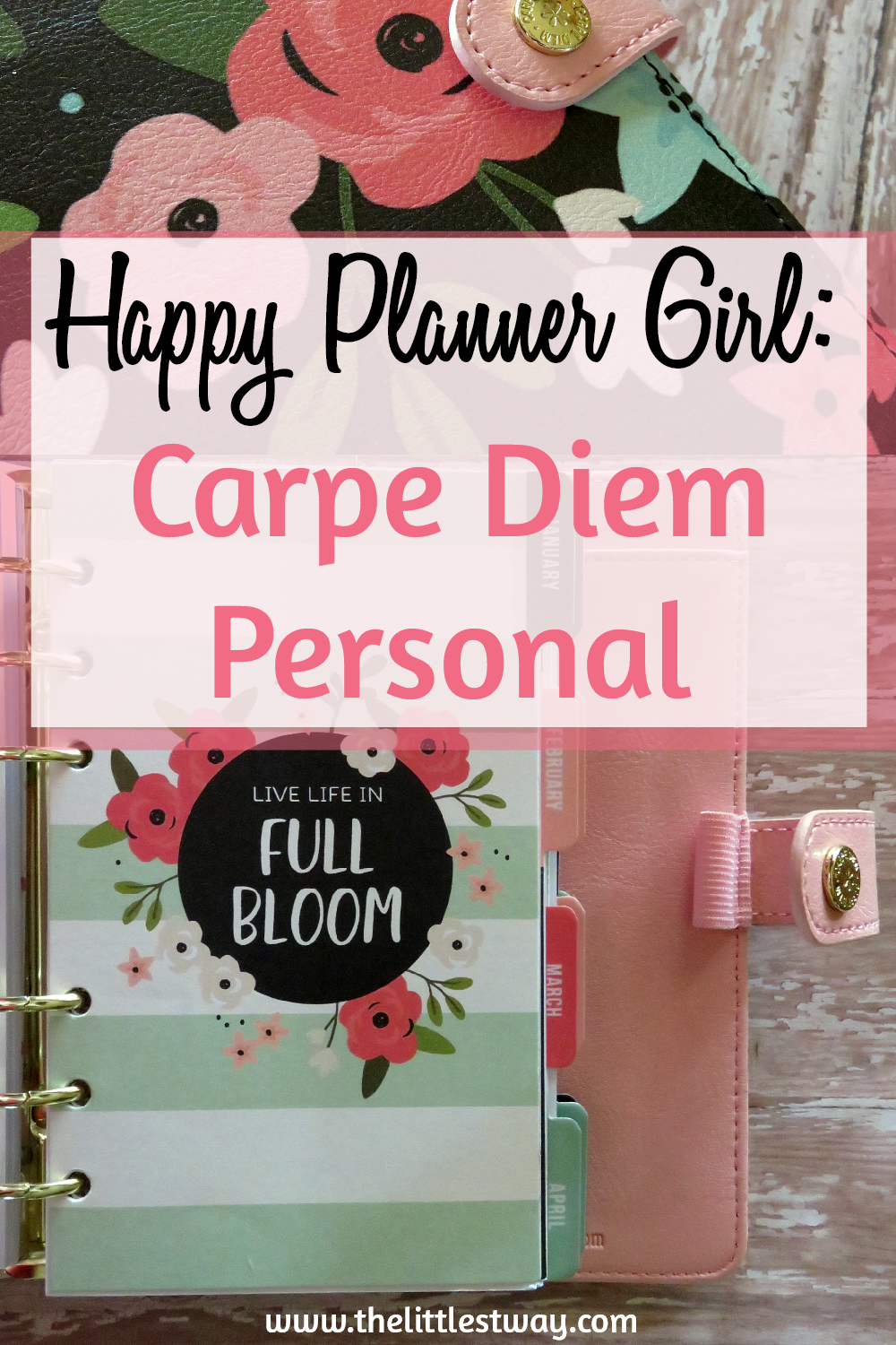 Happy Planner Girl review of the Carpe Diem Personal Planner