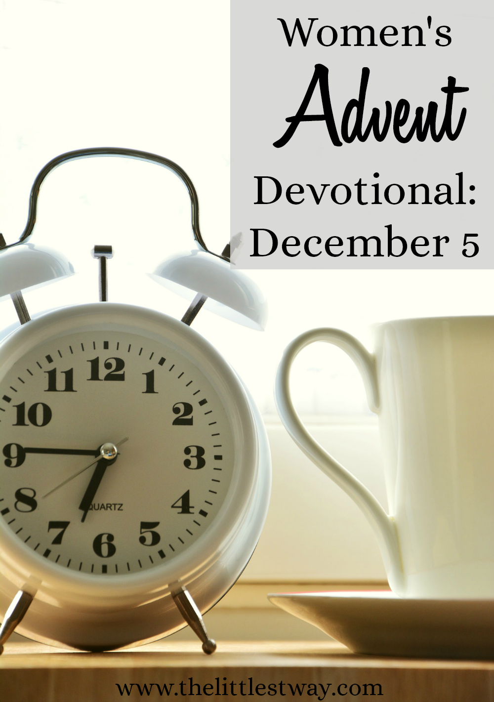 A Women's Advent Devotional that is simple, short, and to the point...but spiritually rich and soul-satisfying deep.