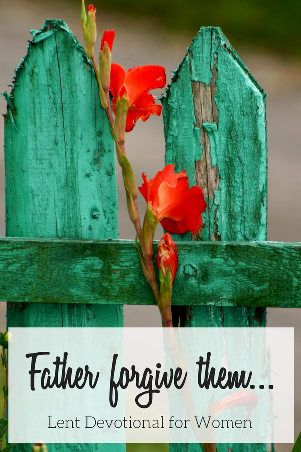 Blue-Green fence with a coral flower representing pain and forgiveness in this Lent Devotional for Women.