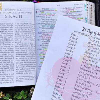 Scripture Journal Printables: 21 Days of Mercy